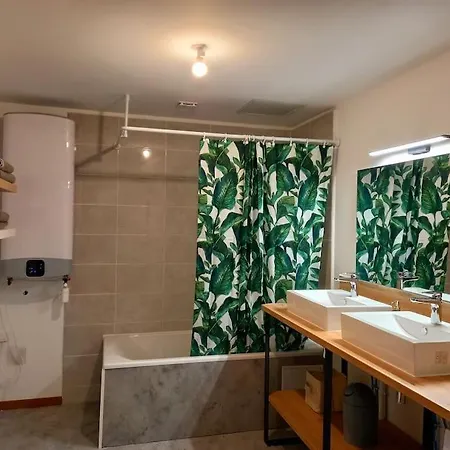 T5 L'atelier Appartement Valence (Tarn-et-Garonne)