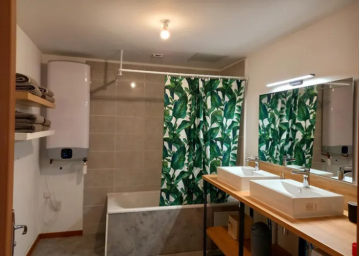 T5 L'atelier Appartement Valence (Tarn-et-Garonne)